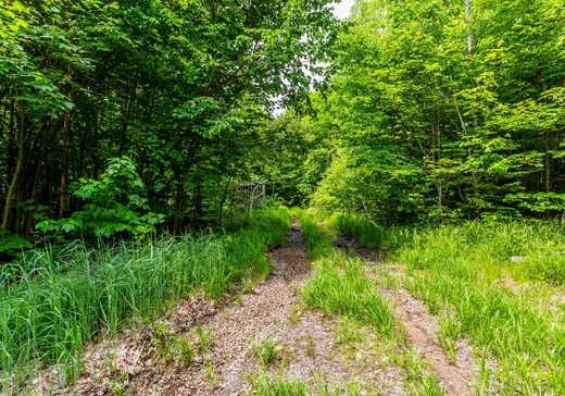 Terrain à vendre -  Ch. du Lac-Mondor, Shawinigan, G9T 0E8