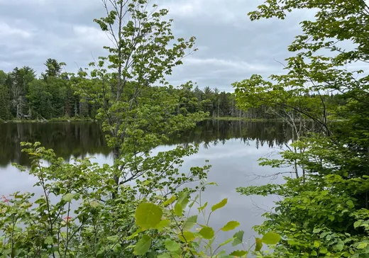 Terrain à vendre -  Ch. du Lac-Lebeuf, St-Come, J0K 2B0