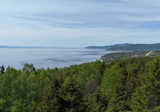 Terrain à vendre - 115 Rue Marie-Rose, La Malbaie, G5A 0E2