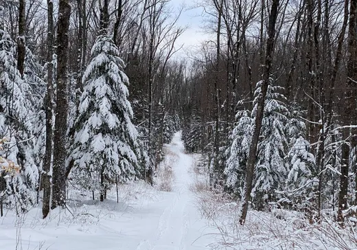 Terrain à vendre -  Boul. St-Francois, Mont-Laurier, J0W 1H0