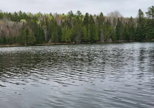 Terrain à vendre -  Ch. Dez, Danford Lake, J0X 1P0