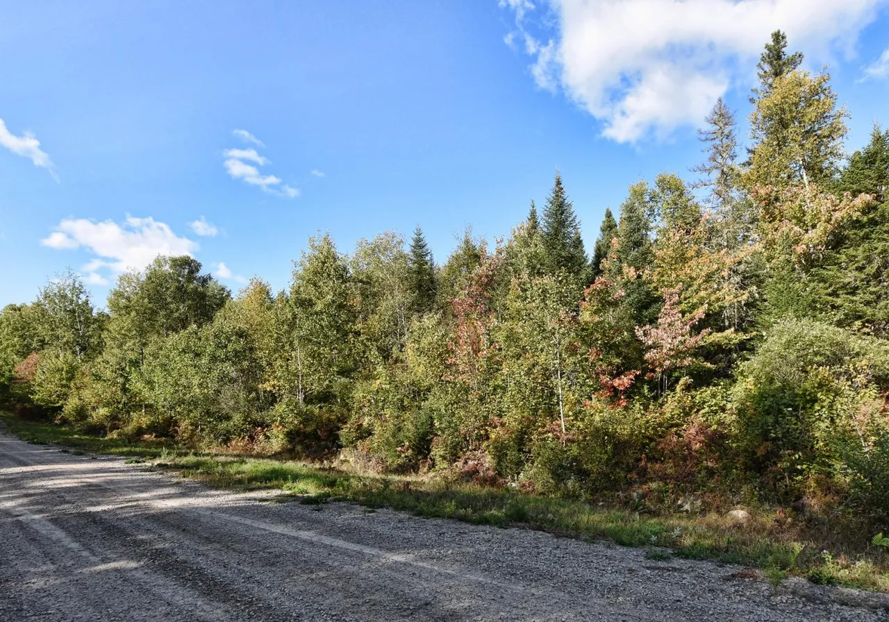 Land for Sale -  Ch. du Bonheur, Saint-Michel-des-Saints, J0K 3B0