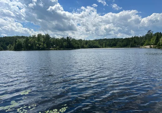 Terrain à vendre -  Rue Lafond, St-Boniface-De-Shawinigan, G0X 2L0