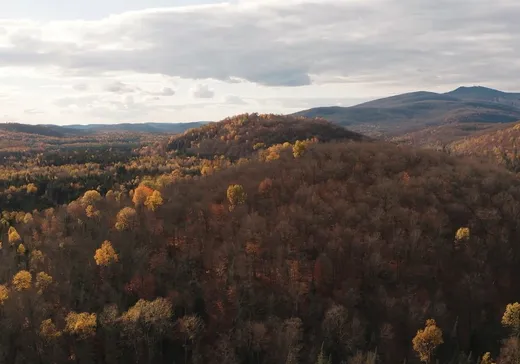 Terrain à vendre -  Imp. du Cerf, Rigaud, J0P 1P0