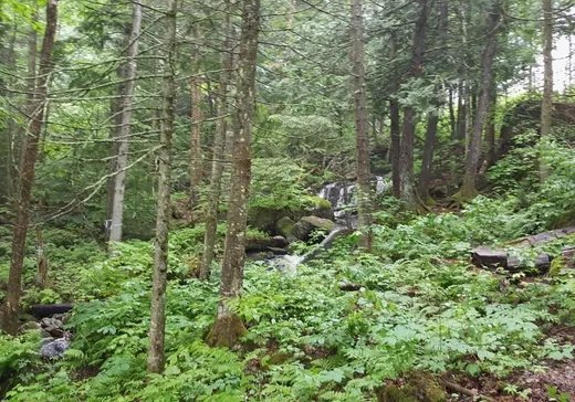 Terrain à vendre -  Rue du Moulin, St-Roch-De-LAchigan, J0K 1H0