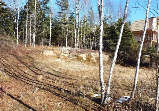 Terrain à vendre -  Ch. de la Seigneurie, Les Éboulements, G0A 2M0