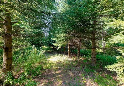 Terrain à vendre -  Rue Pierre-Beaumont, Lévis, G6Z 2L1