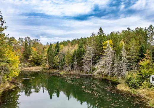 Terrain à vendre -  Rue St-Alphonse, Lac-aux-Sables, G0X 1M0