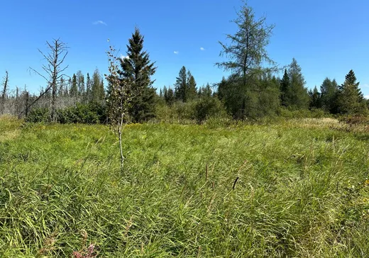 Land for Sale -  Rg Beauregard, Rouyn-Noranda, J9Y 0G4