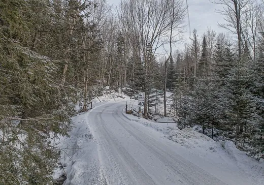 Terrain à vendre -  Ch. Vaillancourt, Eastman, J0E 1P0