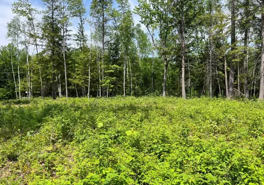 Land for Sale -  Ch. du Huard, Lac-du-Cerf, J0W 1S1