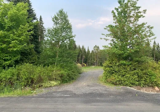 Land for Sale - 159 Ch. du Lac-Algonquin, Sainte-Rose-de-Watford, G0R 4G0