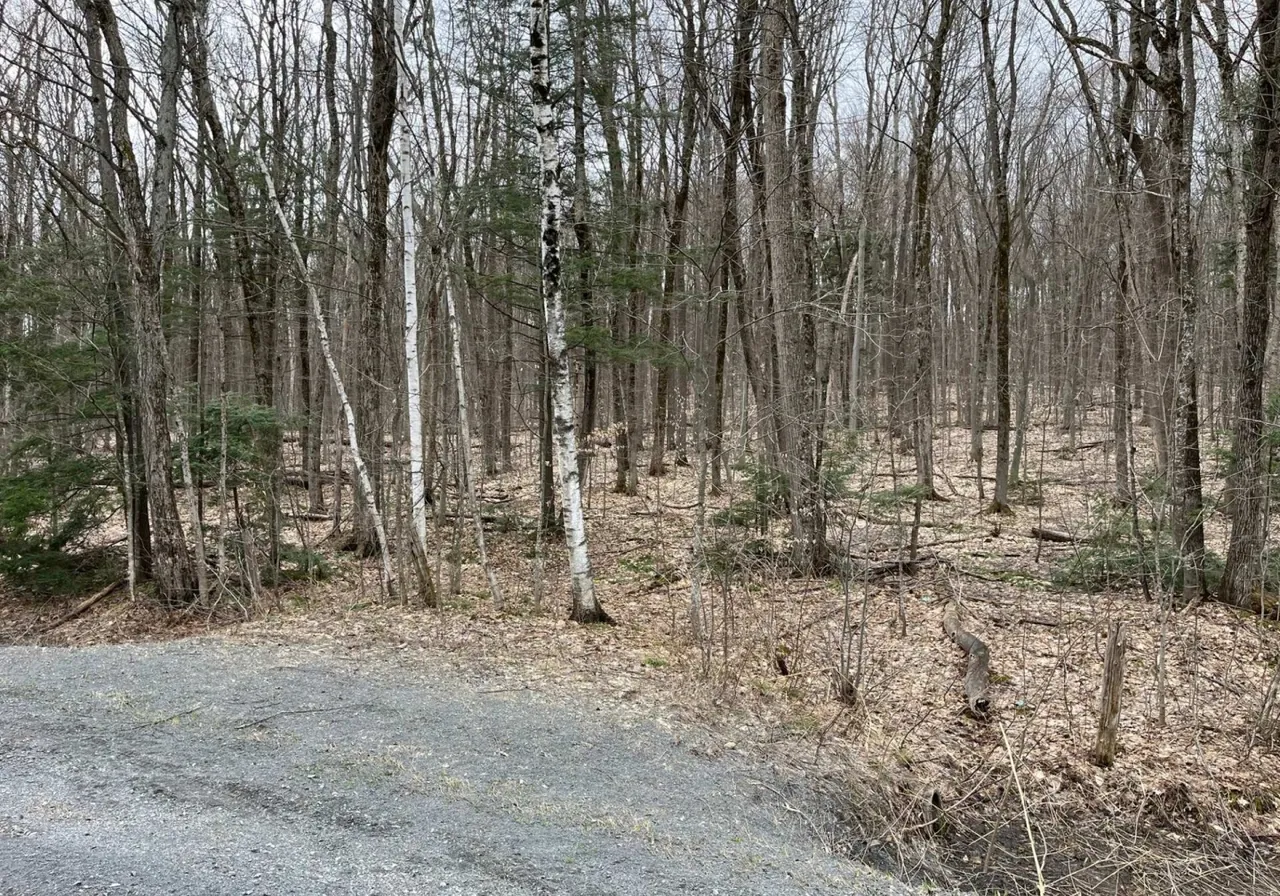 Land for Sale -  Ch. J.-René-Gauthier, Rigaud, J0P 1P0