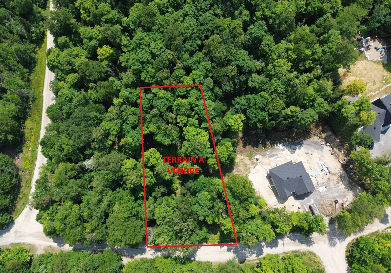 Land for Sale -  Ch. du Lac-Paquet E., Rivière-Rouge, J0T 1T0