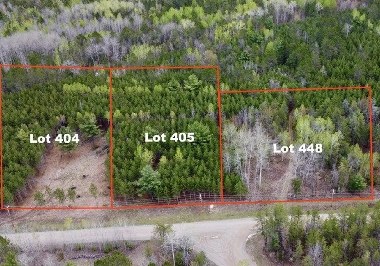 Terrain à vendre -  Ch. des Outaouais, Ile Du Grand-Calumet, J0X 1J0