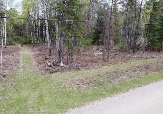 Terrain à vendre -  Ch. des Outaouais, Ile Du Grand-Calumet, J0X 1J0