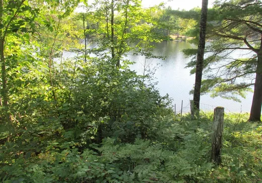 Terrain à vendre -  Ch. des Cèdres, ND-Du-Laus, J0X 2M0