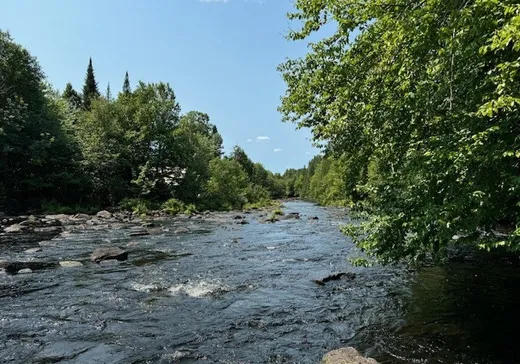 Terrain à vendre -  Ch. Burns, St-Jean-De-Matha, J0K 2S0