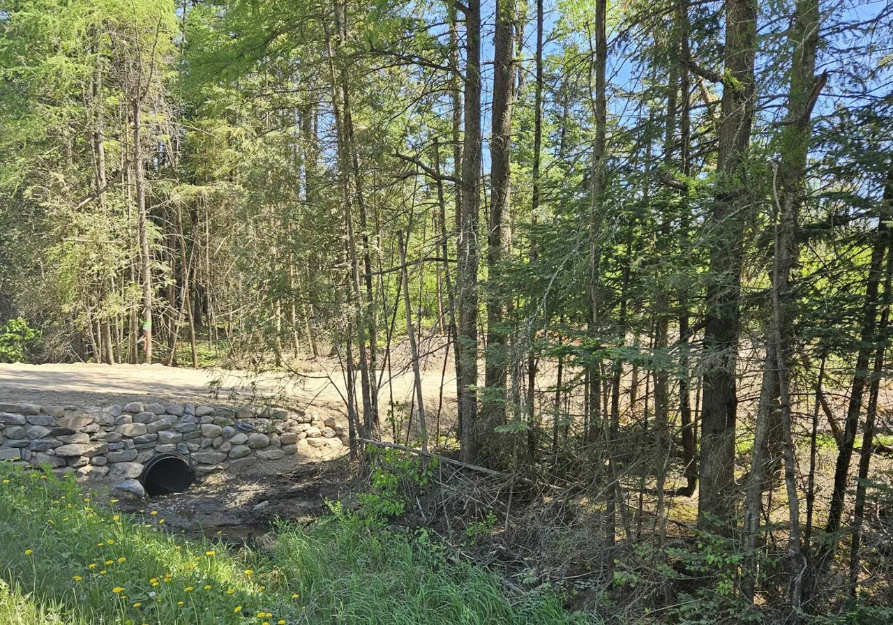 Terrain à vendre - 74 Ch. du Quatre-Milles, Lac-Mégantic, J0B 1Y0