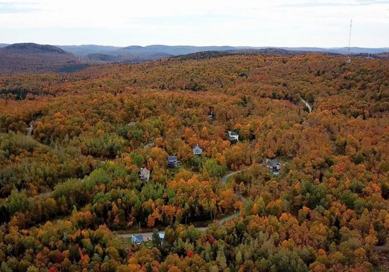 Terrain à vendre - 28 Ch. des Faucons, Val-des-Lacs, J0T 2P0