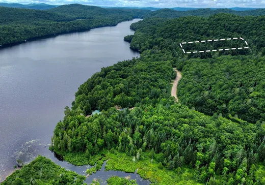 Terrain à vendre -  Ch. du Lac-de-la-Carpe, Lac-Des-Plages, J0T1K0