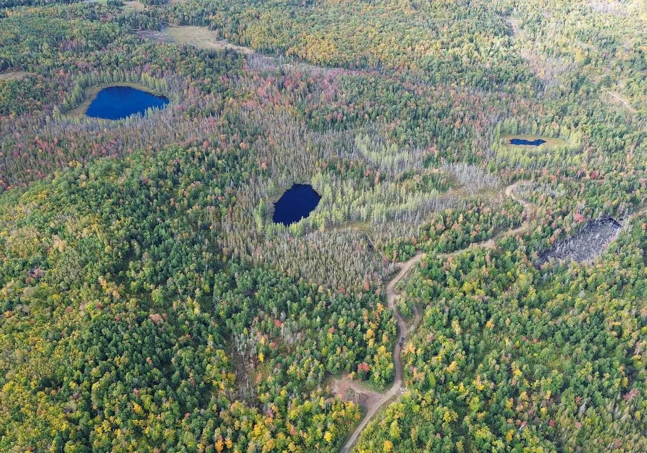 Terrain à vendre -  Ch. du Lac-Florido, St-Mathieu-Du-Parc, G0X 1N0