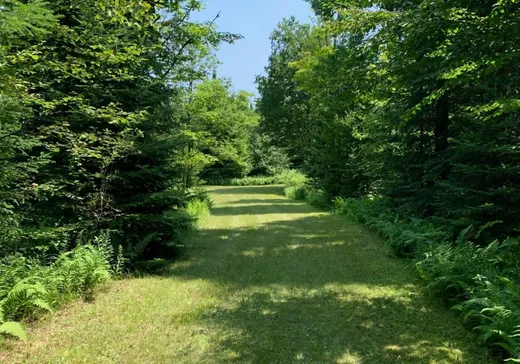 Terrain à vendre -  Route de l'Église, Notre-Dame-Des-Boies, J0B 2E0