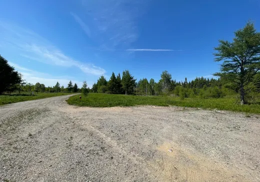 Terrain à vendre - 3 Rue du Belvédère-sur-le Fleuve, Bergeronnes, G0T 1G0