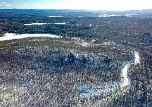 Terrain à vendre -  Ch. du Mitik, Mont-Tremblant, J8E2H3