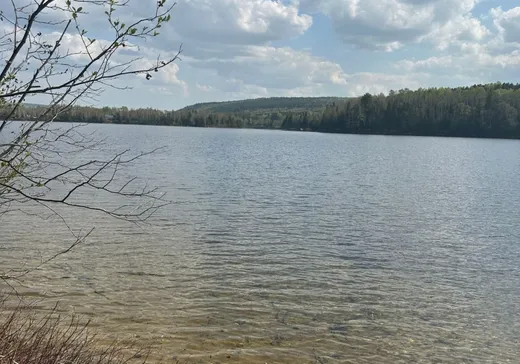 Terrain à vendre -  Ch. Marie-Louise, Lac-Saint-Paul, J0W 1K0