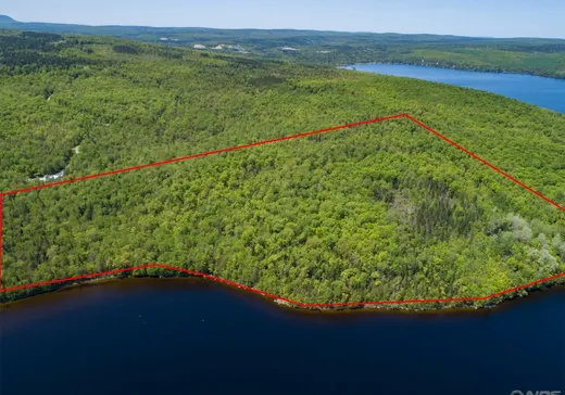 Land for Sale - 40 Ch. du Trou-des-Ours, Lac-Mégantic, G0Y 1G0