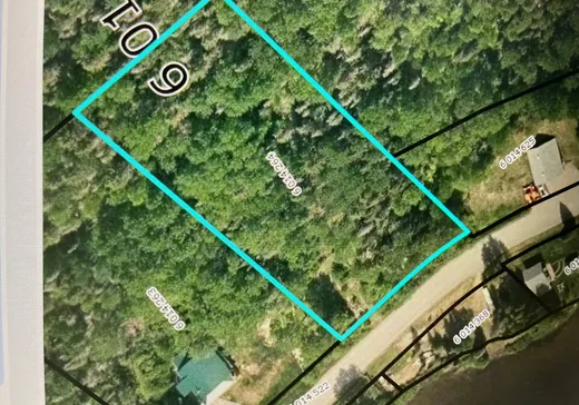 Land for Sale -  Ch. du Lac-à-la-Croix, Saint-Félix-d'Otis, G0V 1M0