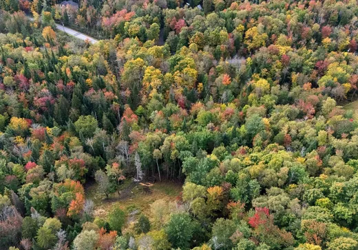 Terrain à vendre -  Ch. du Mont-Loup-Garou, Sainte-Adèle, J8B 3C8