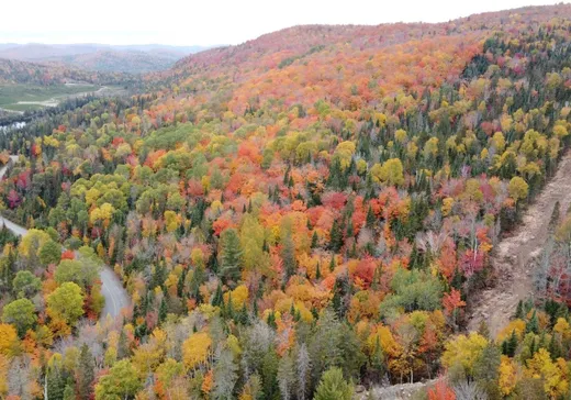 Terrain à vendre -  Mtée Carola, Val David, J0T 2N0