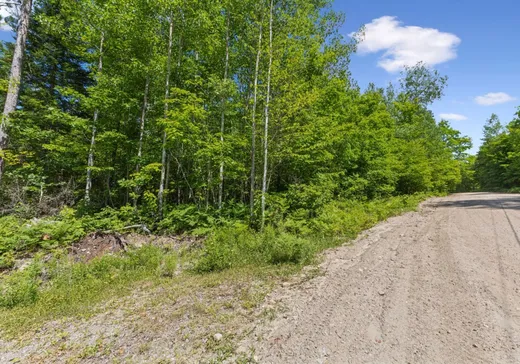 Terrain à vendre -  Ch. Lacroix, Sainte-Thérèse-de-la-Gatineau, J0X2X0