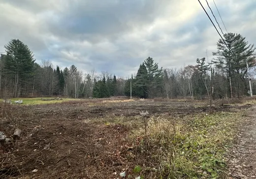 Land for Sale -  Rue Cécile, Grenville, J0V 1B0