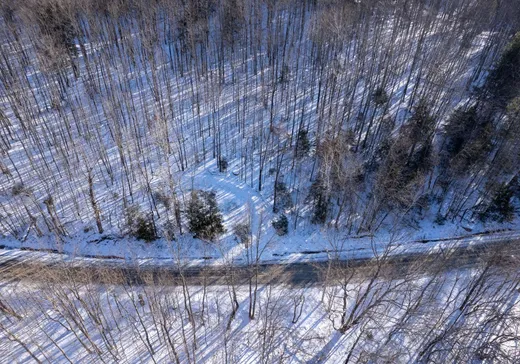 Terrain à vendre -  Ch. des Diligences, Eastman, J0E 1P0