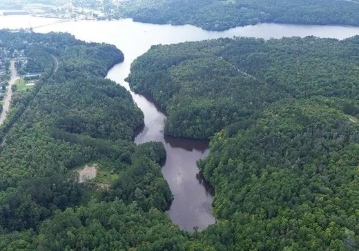 Terrain à vendre -  Ch. des Chalands, Shawinigan, G9T 5K4