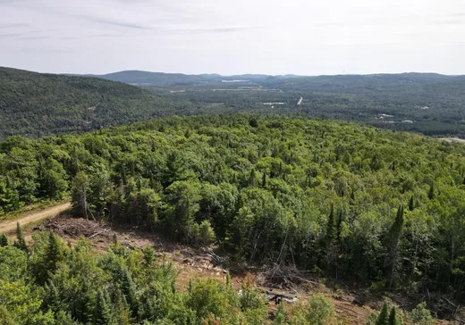 Terrain à vendre -  Rue de l'Ingénieur, Ste-Émelie-de-l'Énergie, J0K 2K0