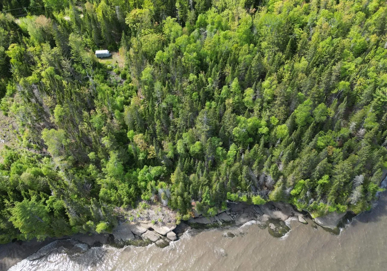 Terrain à vendre -  Ch. du Domaine-de-la-Pointe, Escuminac, G0C 1N0