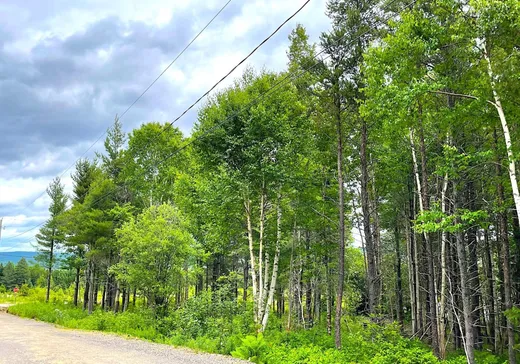 Terrain à vendre -  Rue de la Traverse, St-Tite-Des-Caps, G0A 4J0