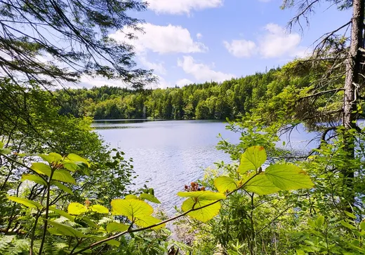 Terrain à vendre -  Ch. du Lac-Archange, Ste-Thecle, G0X 3G0