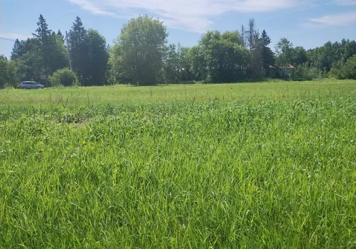 Land for Sale -  Rg du Petit-Portage, St-Felix-De-Valois, J0K 2M0