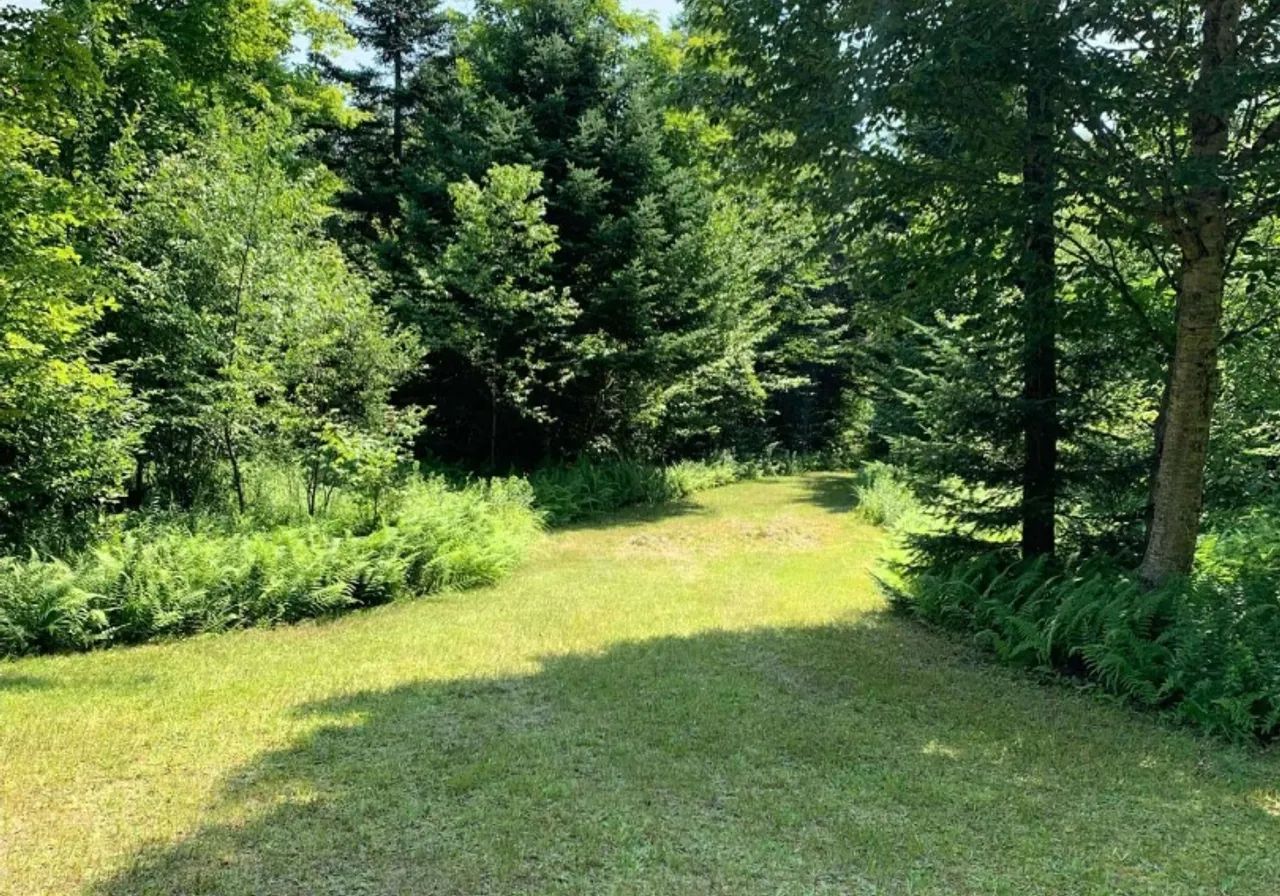 Terrain à vendre -  Route de l'Église, Notre-Dame-Des-Boies, J0B 2E0