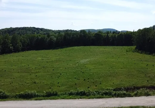 Land for Sale -  Mtée du Lac-Bleu, St-Leonard-De-Portneuf, G0A 4A0