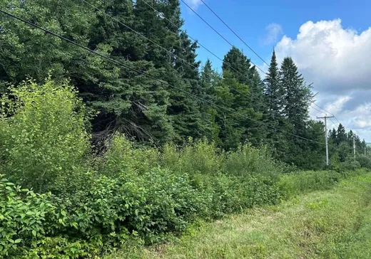 Terrain à vendre -  Route Chesham, Lac-Mégantic, G0Y1E1