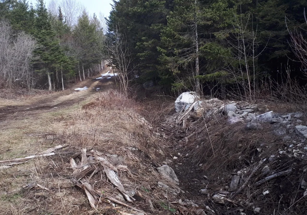 Terrain à vendre -  Rg du Rapide S., Sainte-Anne-de-la-Pérade, G0X 2J0