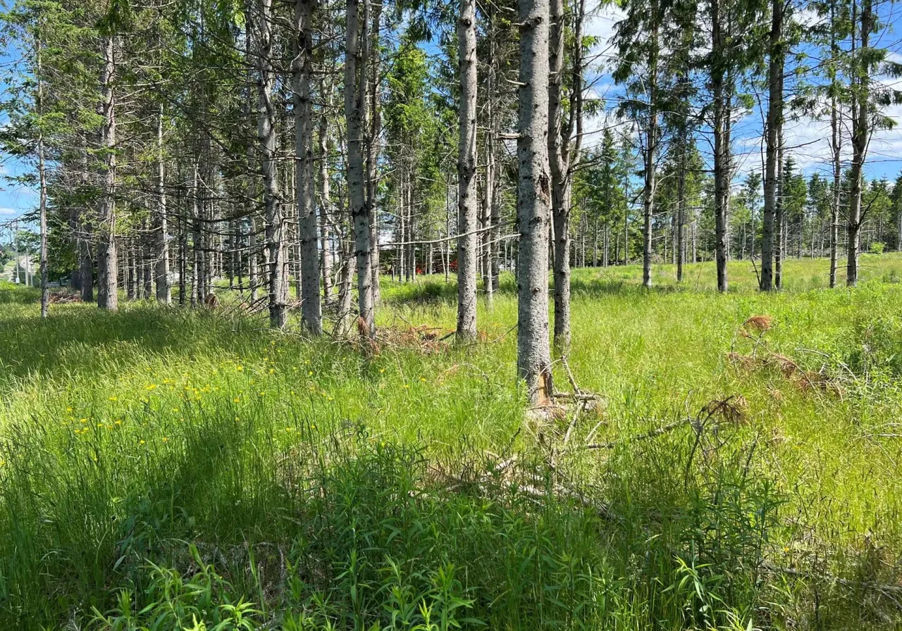 Terrain à vendre -  Rue Salaberry, Lac-Mégantic, G6B 1K4