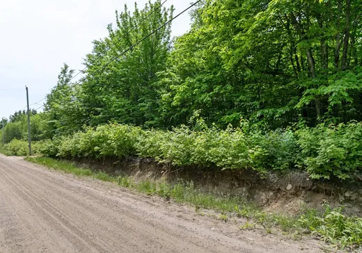 Terrain à vendre -  Ch. de Lanaudière, St-Didace, J0K2G0