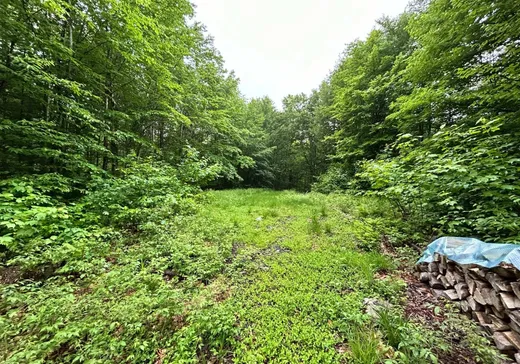 Land for Sale -  Rg de la Montagne, Saint-Raymond, G3L 2R1